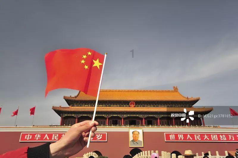 可爱小猫向上跳